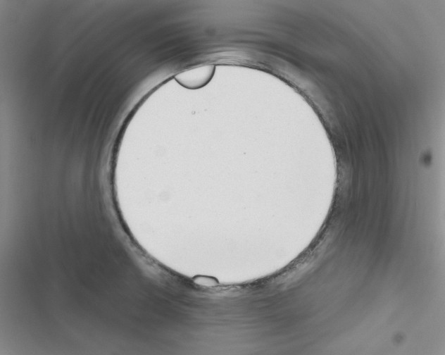X0000116661426201001251208