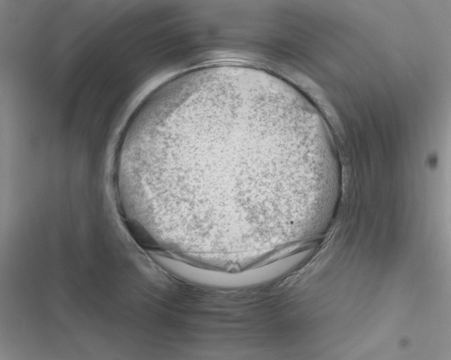 X0000116661427201001251208