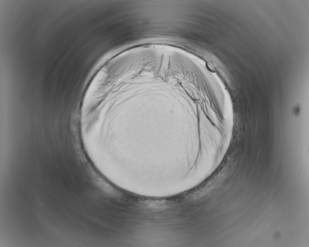 X0000116661428201001251208