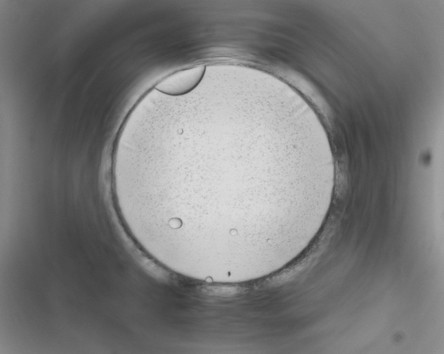 X0000116661431201001251208