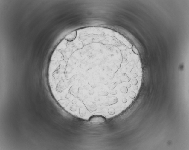 X0000116661432201001251208