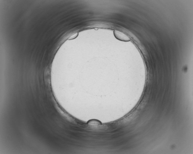 X0000116661433201001251208