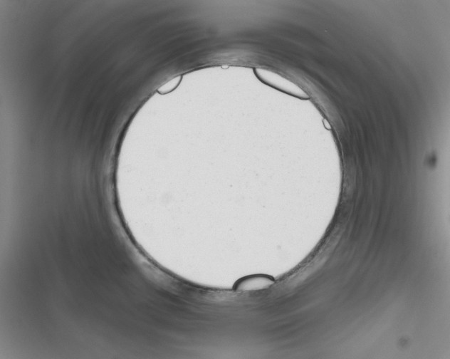 X0000116661434201001251208
