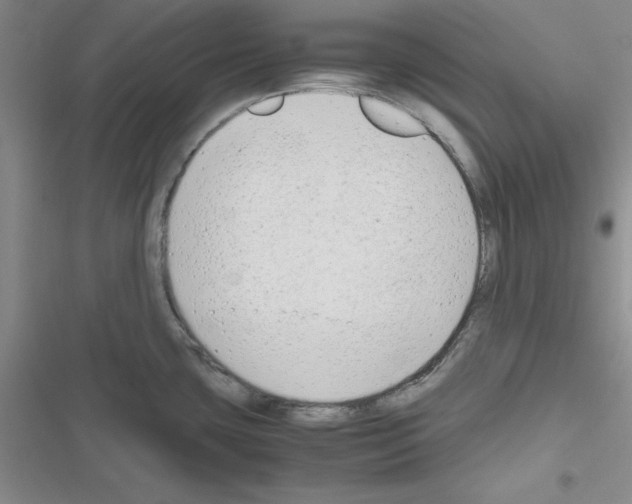 X0000116661435201001251208