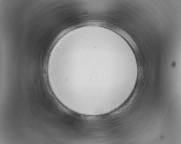 X0000116661436201001251208