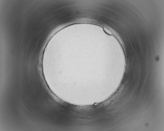 X0000116661437201001251208