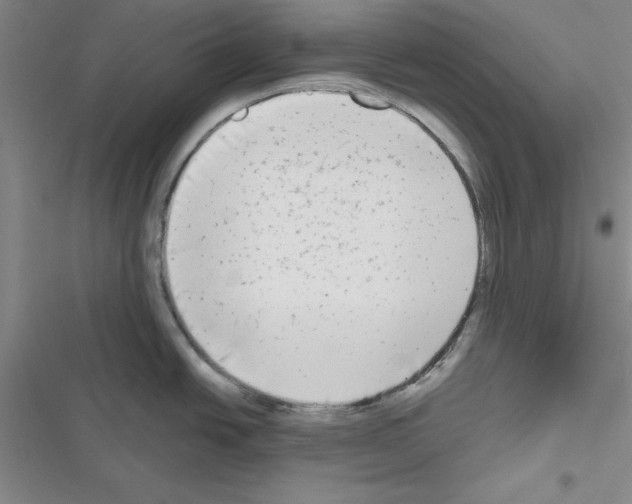 X0000116661438201001251208
