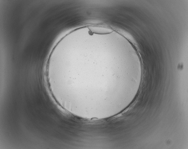 X0000116661440201001251208