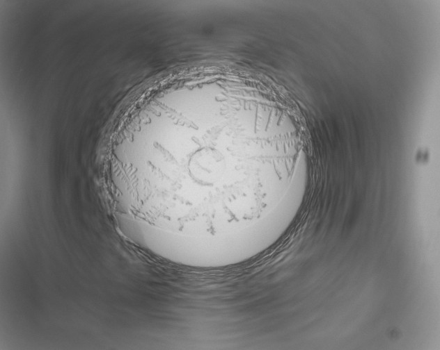 X0000116661441201001251208