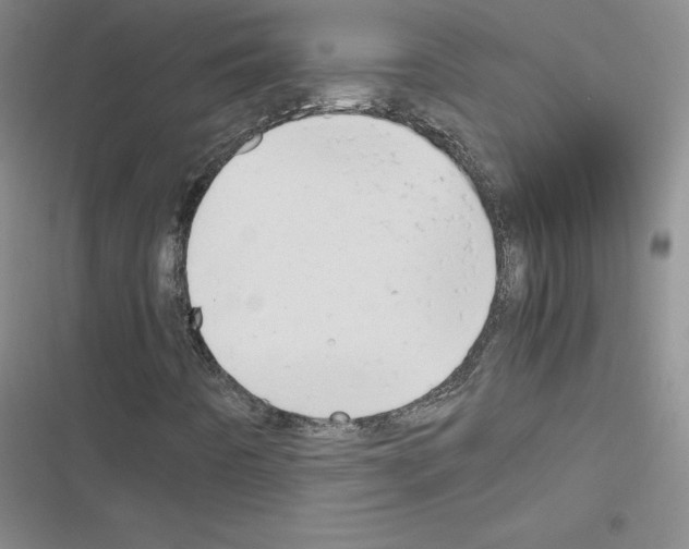 X0000116661442201001251208