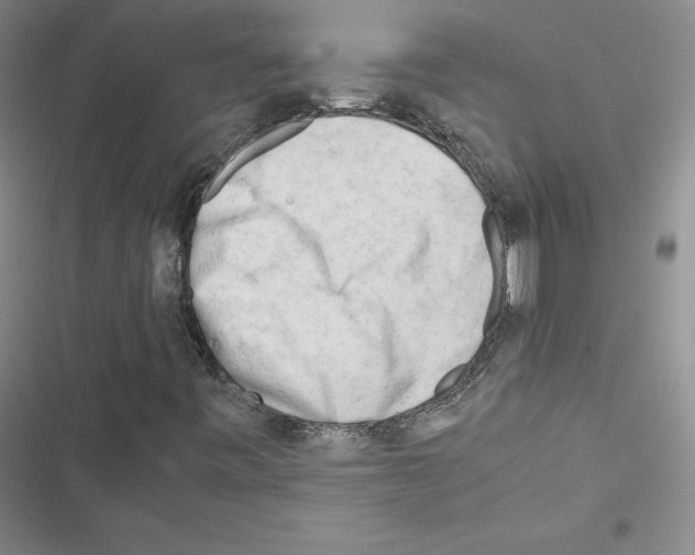 X0000116661443201001251208