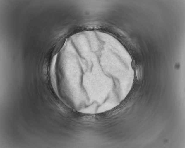 X0000116661444201001251208