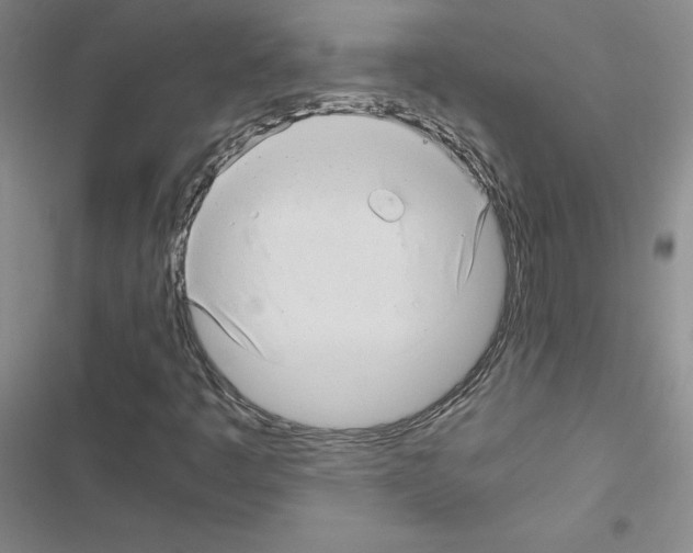 X0000116661445201001251208