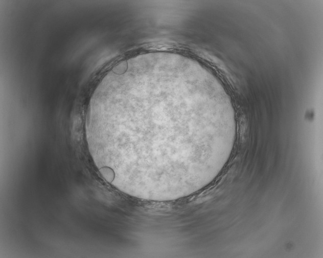 X0000116661446201001251208