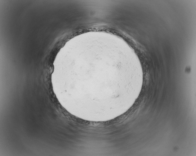 X0000116661447201001251208