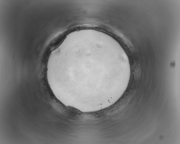 X0000116661448201001251208