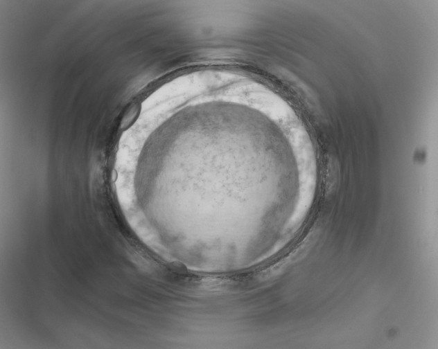 X0000116661449201001251208