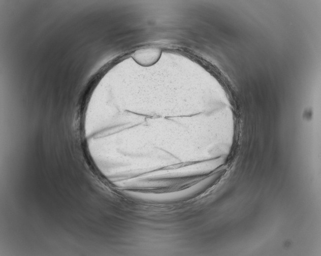X0000116661450201001251208