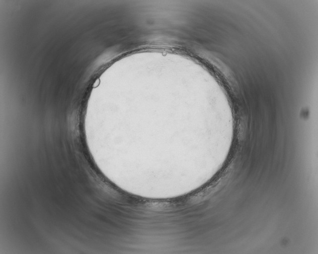 X0000116661451201001251208
