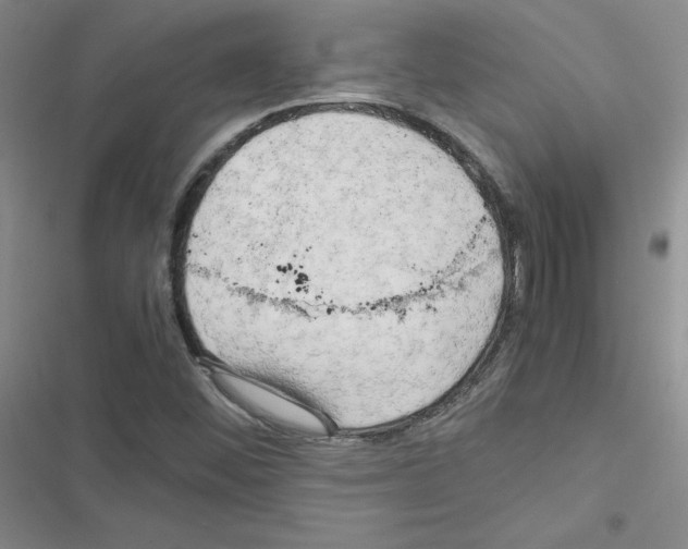 X0000116661452201001251208