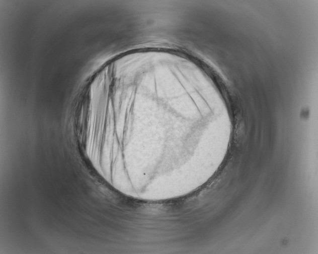 X0000116661455201001251208