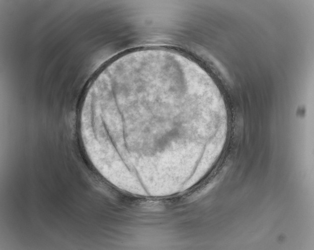 X0000116661457201001251208