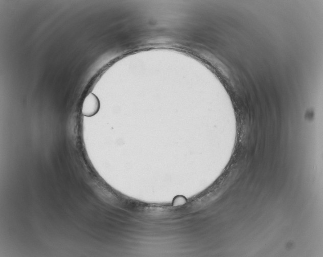 X0000116661458201001251208