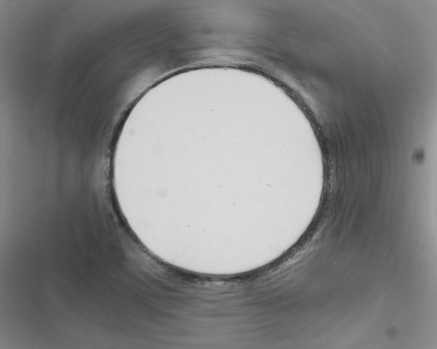 X0000116661459201001251208