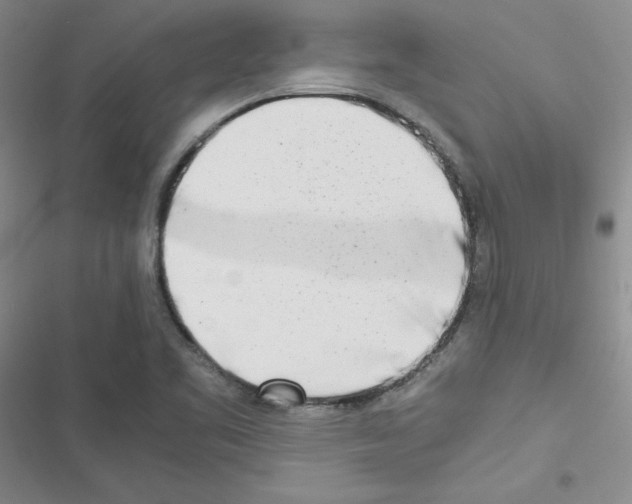 X0000116661461201001251208