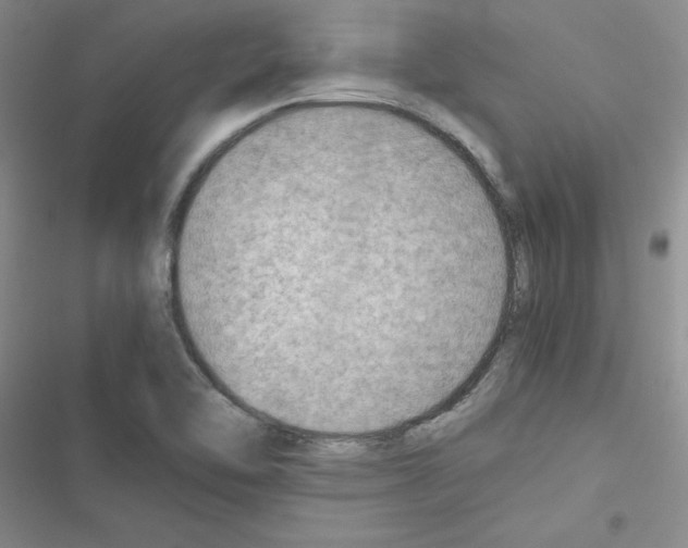 X0000116661462201001251208