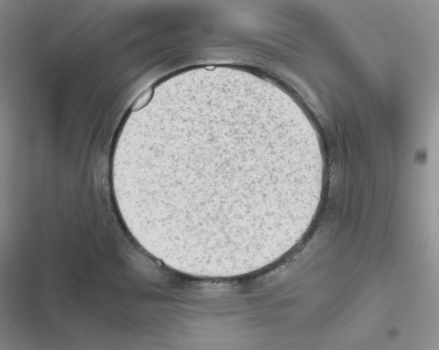 X0000116661465201001251207