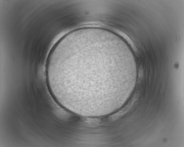 X0000116661466201001251207