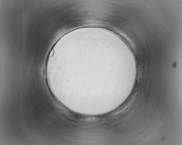 X0000116661467201001251207
