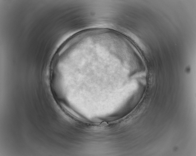 X0000116661468201001251207