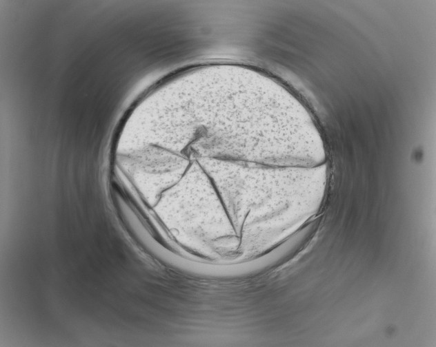 X0000116661469201001251207