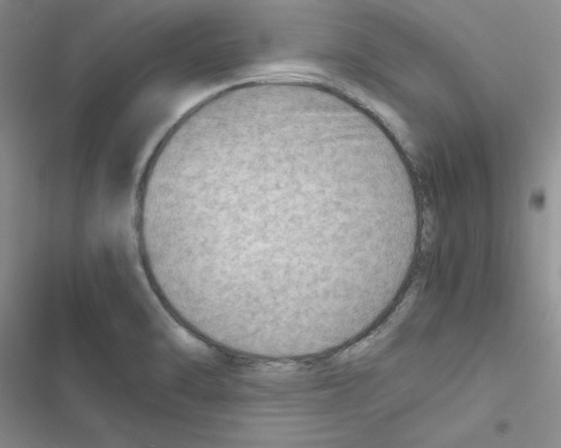 X0000116661470201001251207