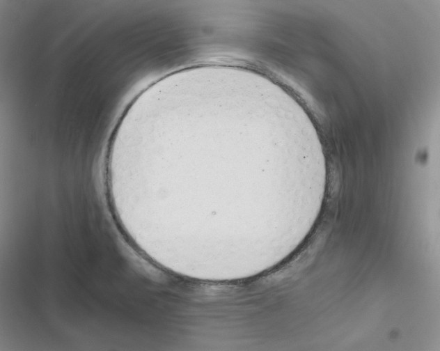 X0000116661471201001251207