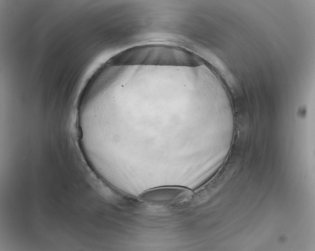 X0000116661472201001251207