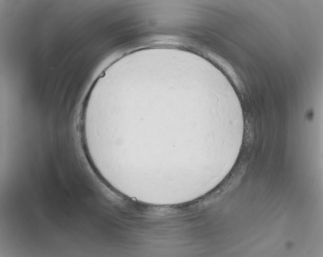 X0000116661475201001251207