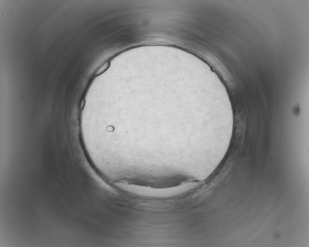 X0000116661476201001251207