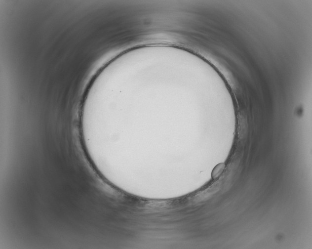 X0000116661477201001251207