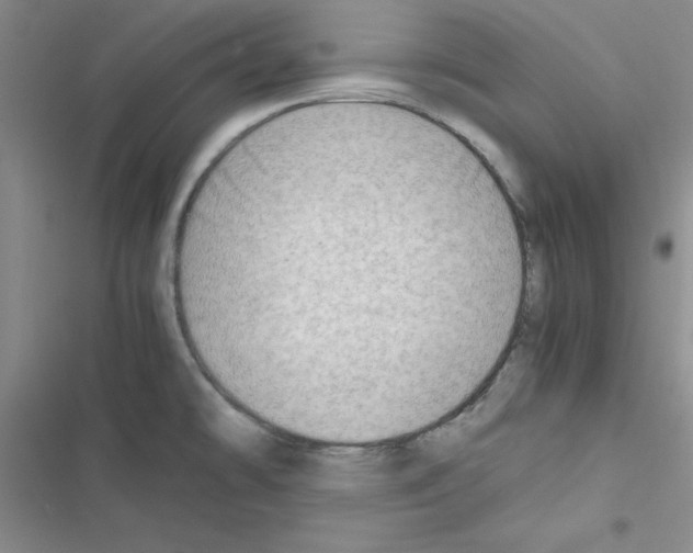 X0000116661478201001251207