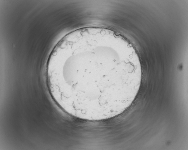 X0000116661479201001251207