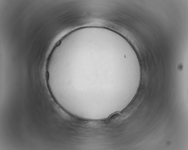 X0000116661480201001251207