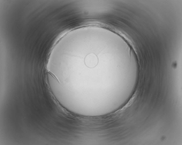 X0000116661481201001251207