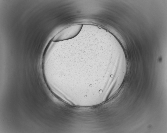 X0000116661482201001251207