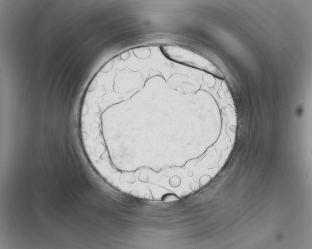 X0000116661483201001251207