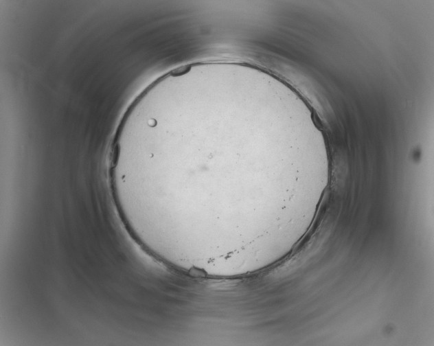 X0000116661484201001251207