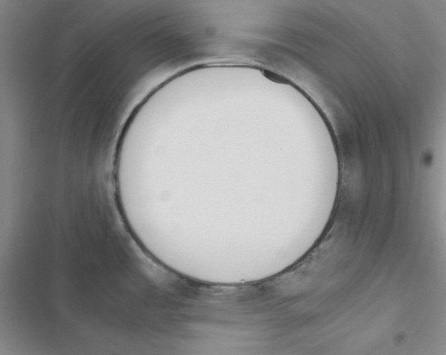 X0000116661485201001251207