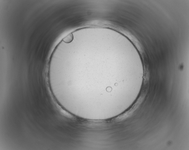 X0000116661486201001251207